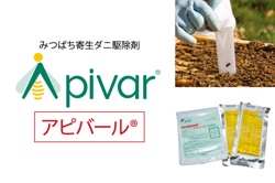 写真:アピバール